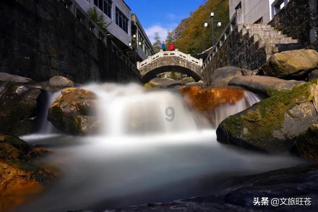 上海人与“吃茶”